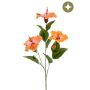 Hibiscus spray lt orange 82cm