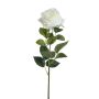 Rose jolie spray white 65cm