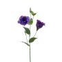 Eustoma spray purple 60cm