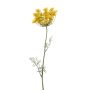 Dill spray yellow 67cm