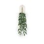 Eucalyptus hanging bush green/grey 75cm