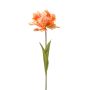 Tulip parrot spray orange 68cm