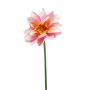 Lotus spray pink 80cm