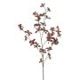 Tropaeolum spray burgundy 85cm