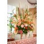 Delphinium spray peach 95cm