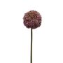 Allium spray purple 73cm