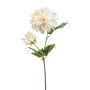 Dahlia w bud spray cream 60cm