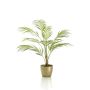 Palm chamaedorea green 75cm in pearlgold pot