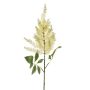 Astilbe spray lt green 70cm