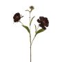 Aster spray burgundy 76cm