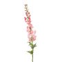 Delphinium XL spray pink 130cm