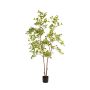 Terminalia tree 175cm (knock down packing)