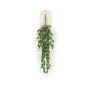 Hop hanging bush 70cm