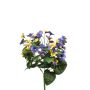 Pansy bush yellow/blue 30cm