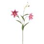 Lily wild spray pink 70cm