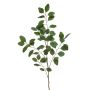 Eucalyptus spray green 100cm