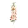 Delphinium spray peach 95cm