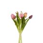 Tulip bundle x5 purple 30cm