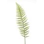 Fern leather spray lt green 100cm