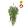 Thuja hanging bush FR/UV 80cm