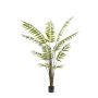 Fern leahter green plant 180cm (knock down packing)
