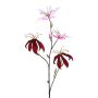 Gloriosa spray red glamour 78cm