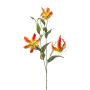 Gloriosa spray orange 90cm