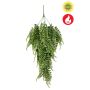 Adianthum hanging bush FR/UV 80cm