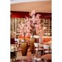 Blossom cherry tree pink 135cm