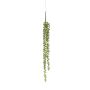 Senecio hanging spray x5 62cm