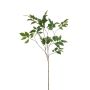 Aralia spray green 85cm