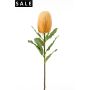 Banksia spray lt orange 65cm