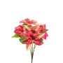 Poinsettia bush x5 pink 42cm