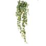 Ivy hanging bush green 120cm