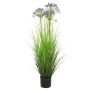 Grass agapanthus blue 110cm