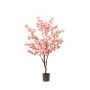 Blossom cherry tree pink 135cm