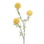 Tagetes spray yellow 80cm