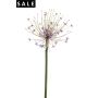 Allium spray lilac 105cm