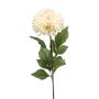 Dahlia pompon spray cream 66cm