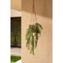 Fern hanging bush UV 80cm