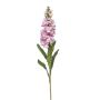 Matthiola spray lt purple 80cm