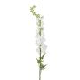 Delphinium XL spray white 130cm