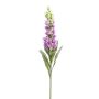 Digitalis spray lt purple 92cm