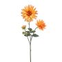 Dahlia spider spray orange 75cm