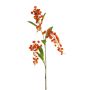 Lepidium spray w lvs orange 90cm