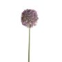 Allium stem 65cm lt purple