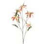 Gloriosa spray orange 105cm