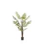 Fern leather plant green 150cm