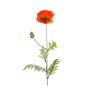 Poppy spray orange 70cm