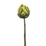 Artichoke spray rt green 58cm